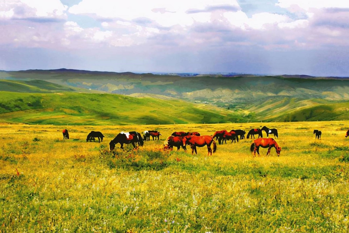 Chilechuan Grassland